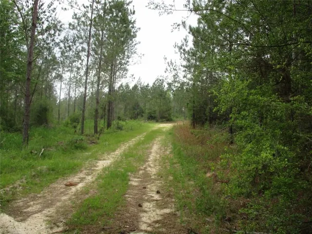 $485,706 | 436 Hwy Angie La, Angie, LA 70426