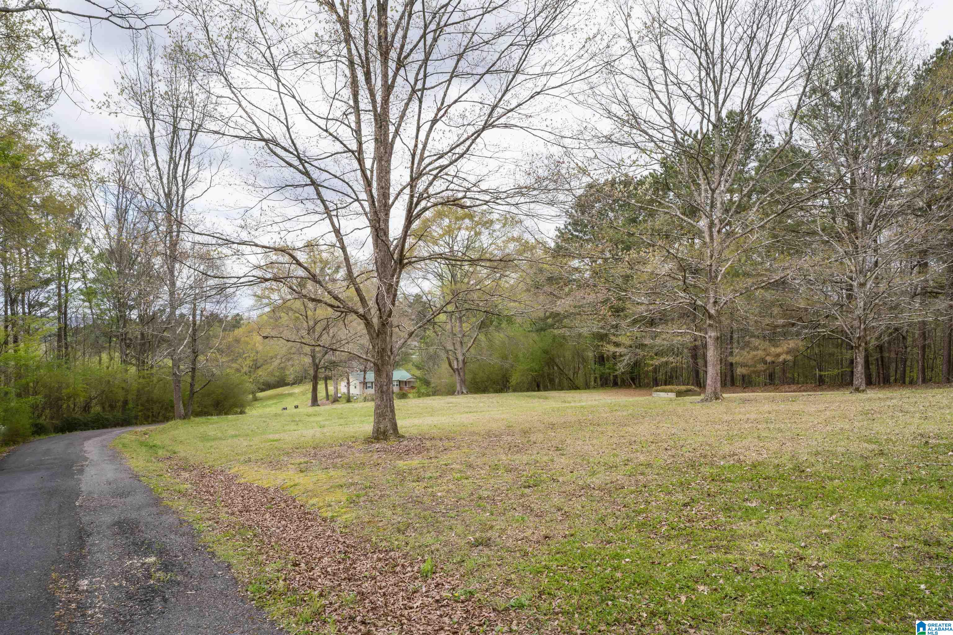 291 Brothers Road Gallant, AL 35972 - Photo 32 of 41
