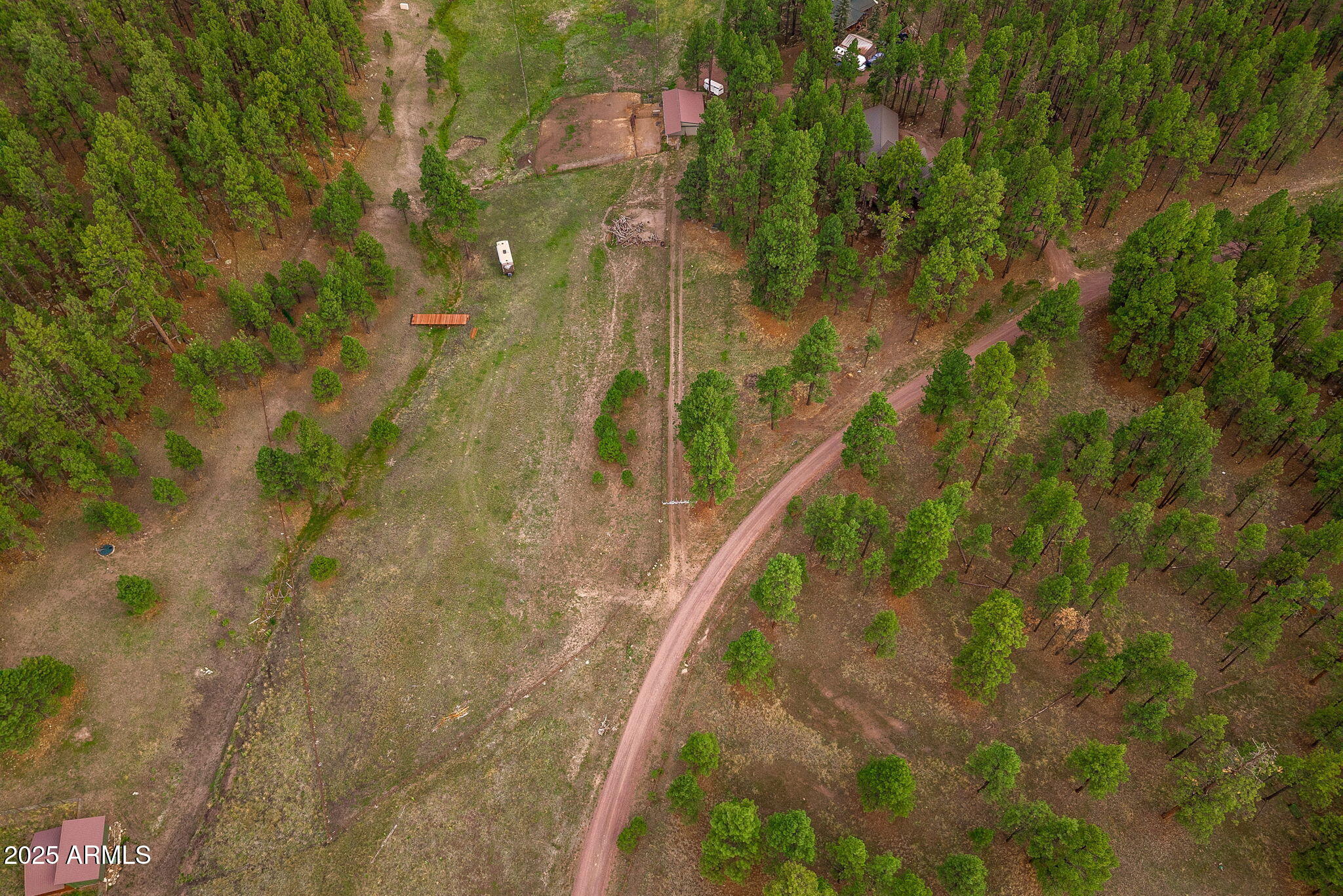 36 County Road N2147 Alpine, AZ 85920 - Photo 45 of 47 a view of a yard with plants and wooden wall