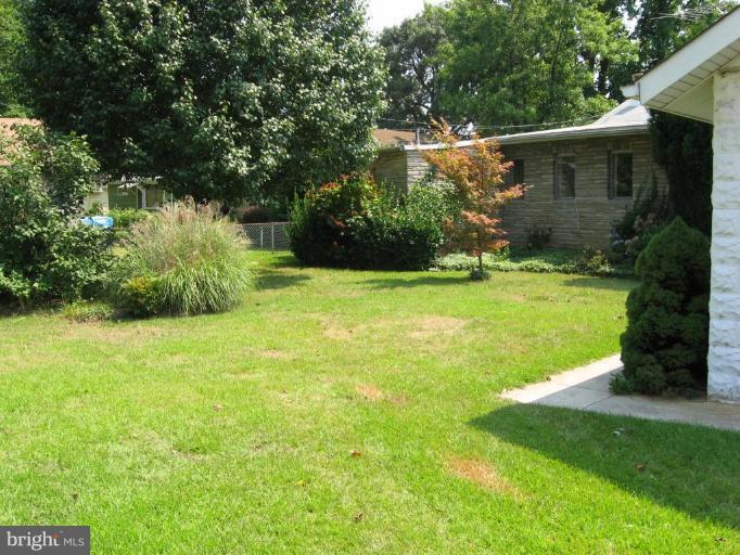 1703 Grandview Road Pasadena, MD 21122 - Photo 8 of 25 Back yard