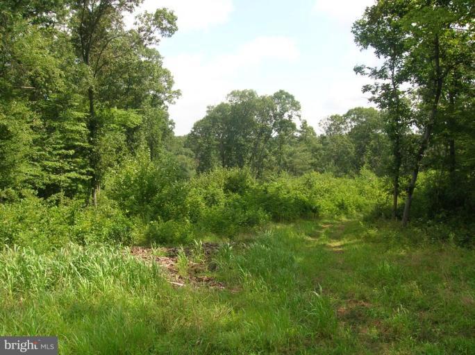 1738 Eden Mill Road Pylesville, MD 21132 - Photo 2 of 5 Other #1