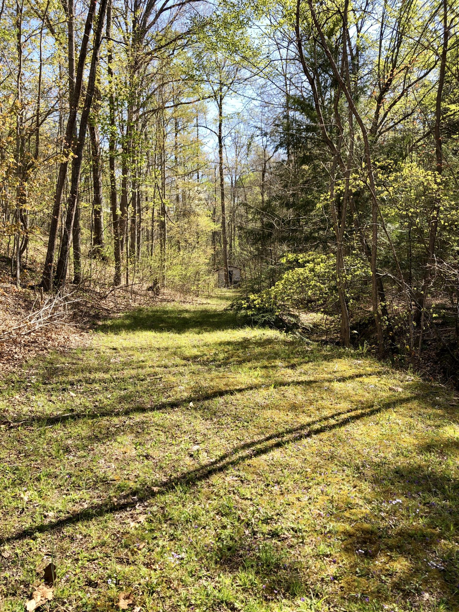 362 Laurel Creek Road Morehead, KY 40351 - Photo 23 of 29 IMG_9353