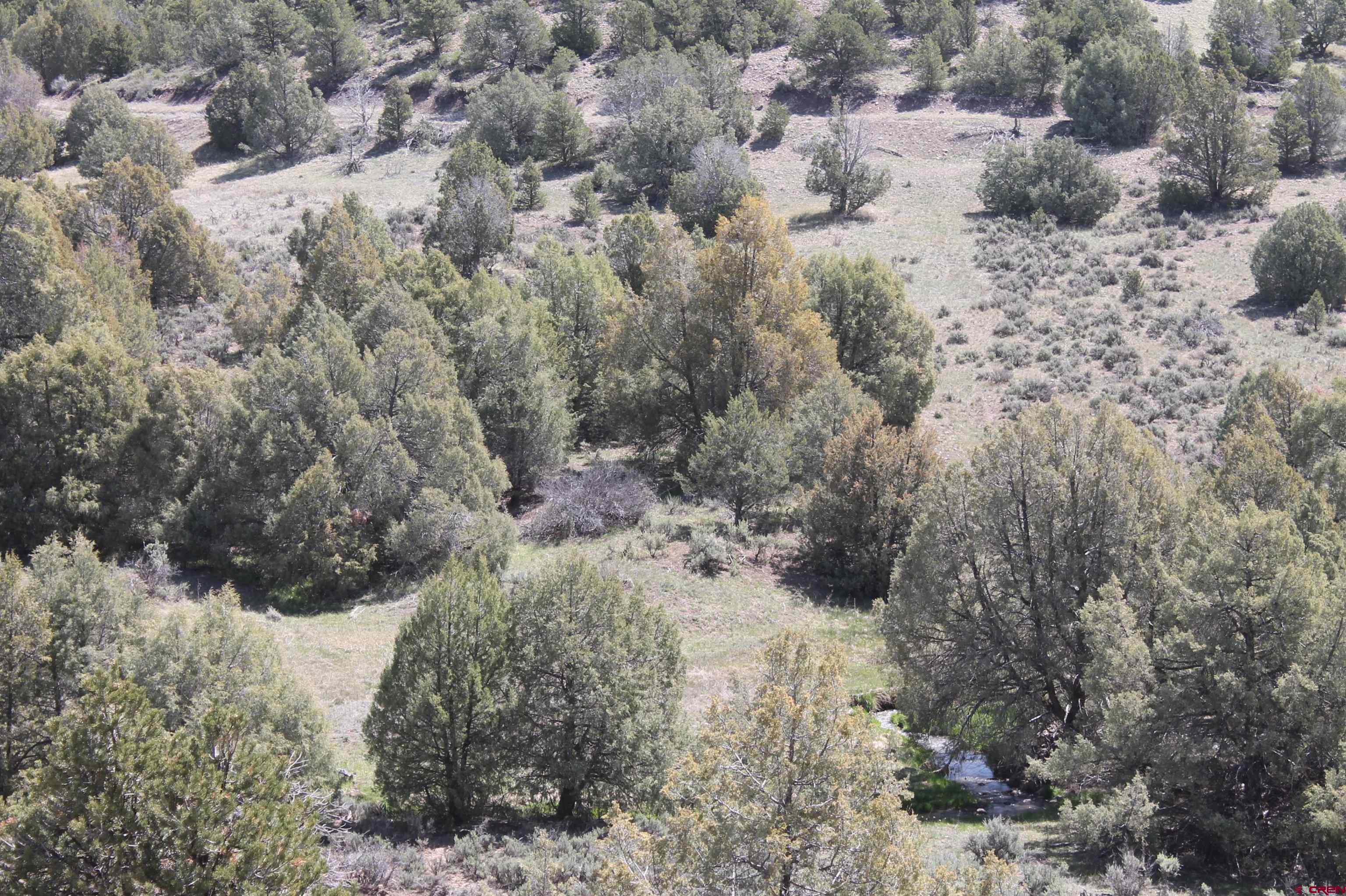 440 Oasis Vly Road Durango, CO 81303 - Photo 11 of 34 Gallery Image 11