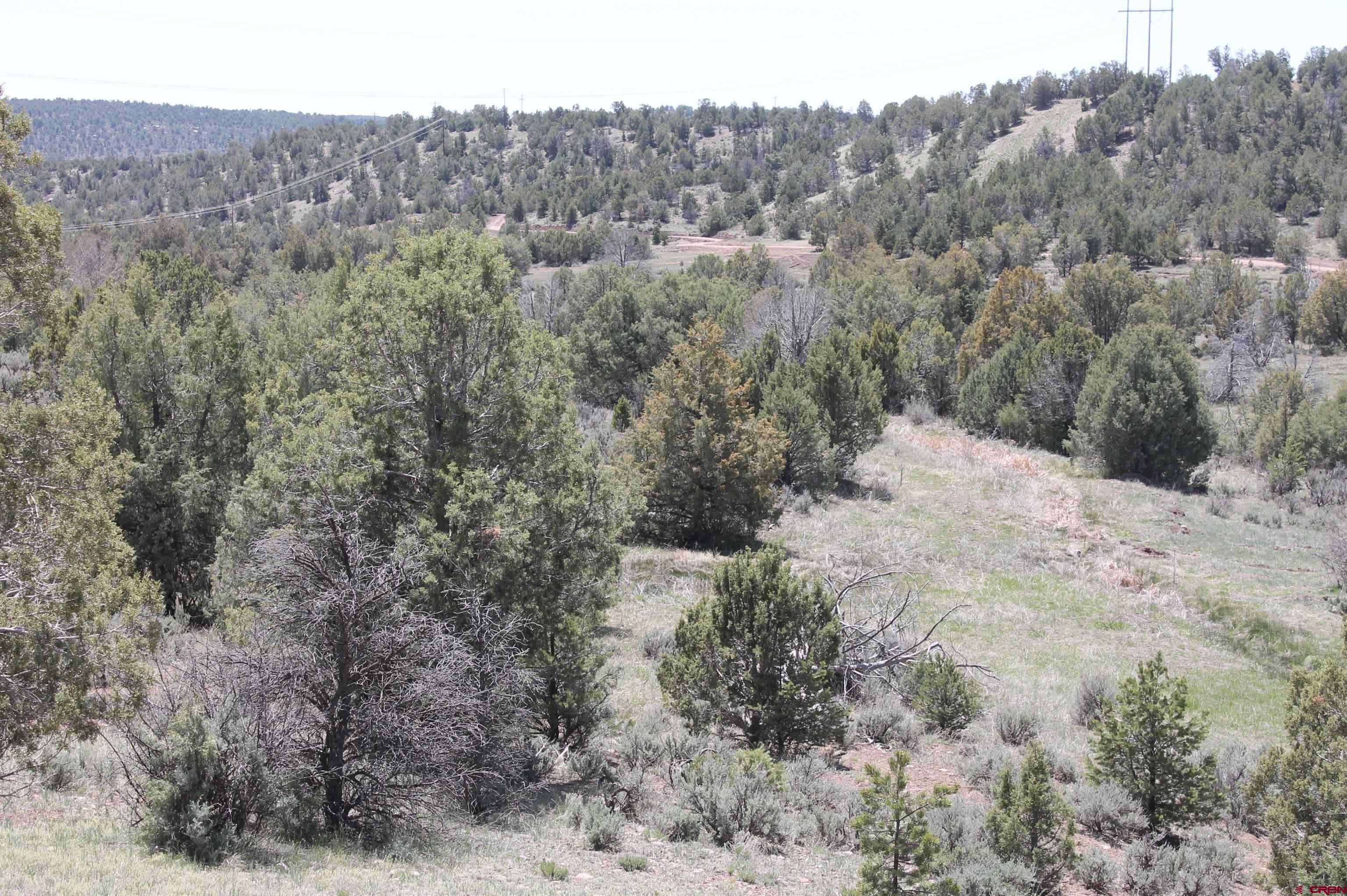 440 Oasis Vly Road Durango, CO 81303 - Photo 18 of 34 Gallery Image 18