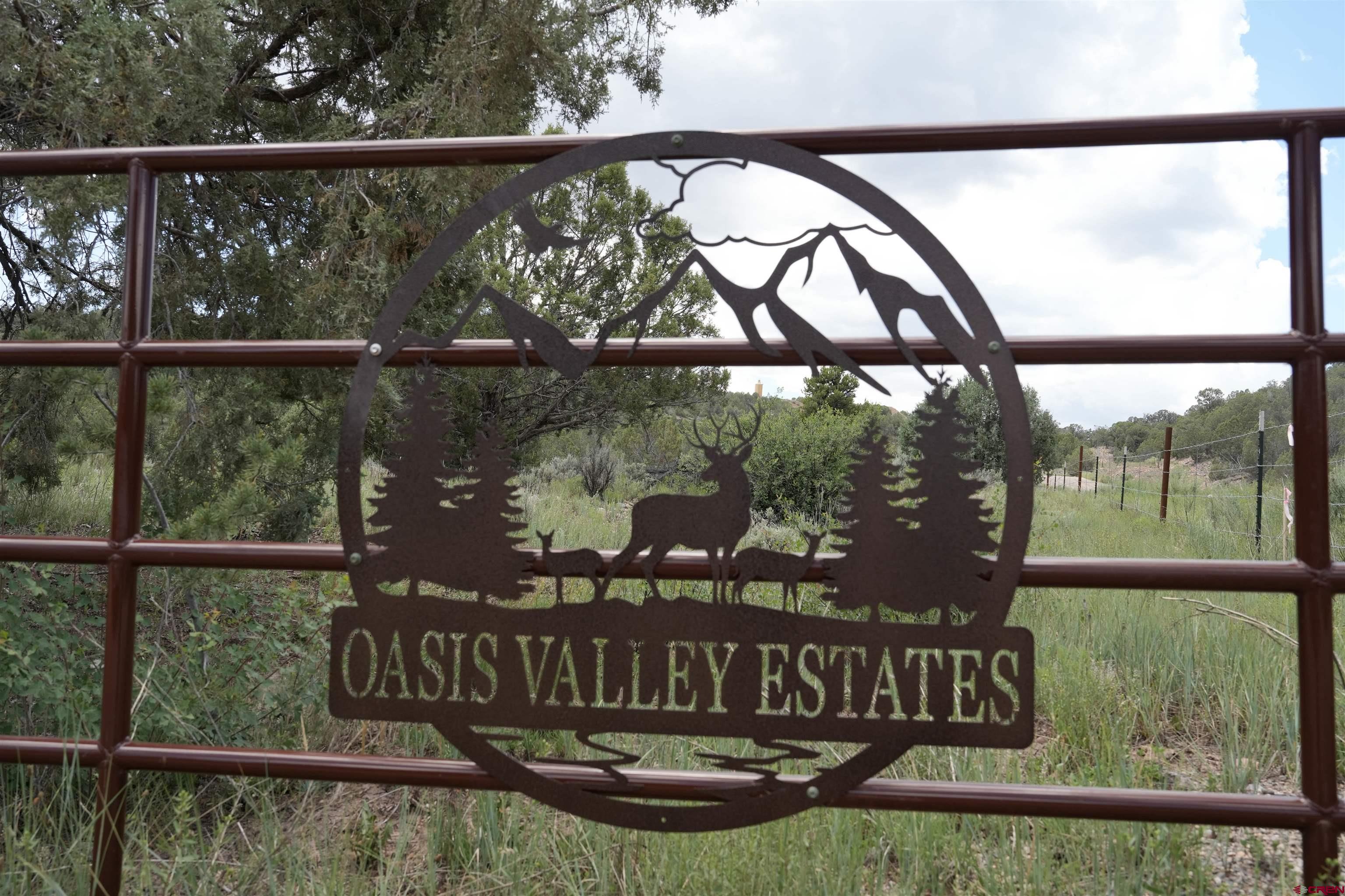 440 Oasis Vly Road Durango, CO 81303 - Photo 2 of 34 Gallery Image 2