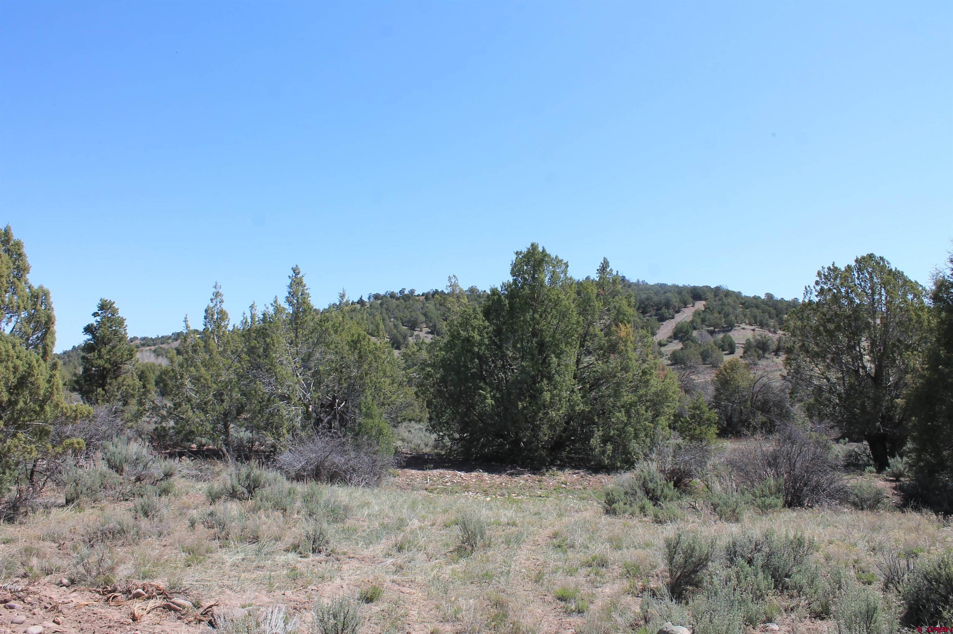 440 Oasis Vly Road Durango, CO 81303 - Photo 25 of 34 Gallery Image 25