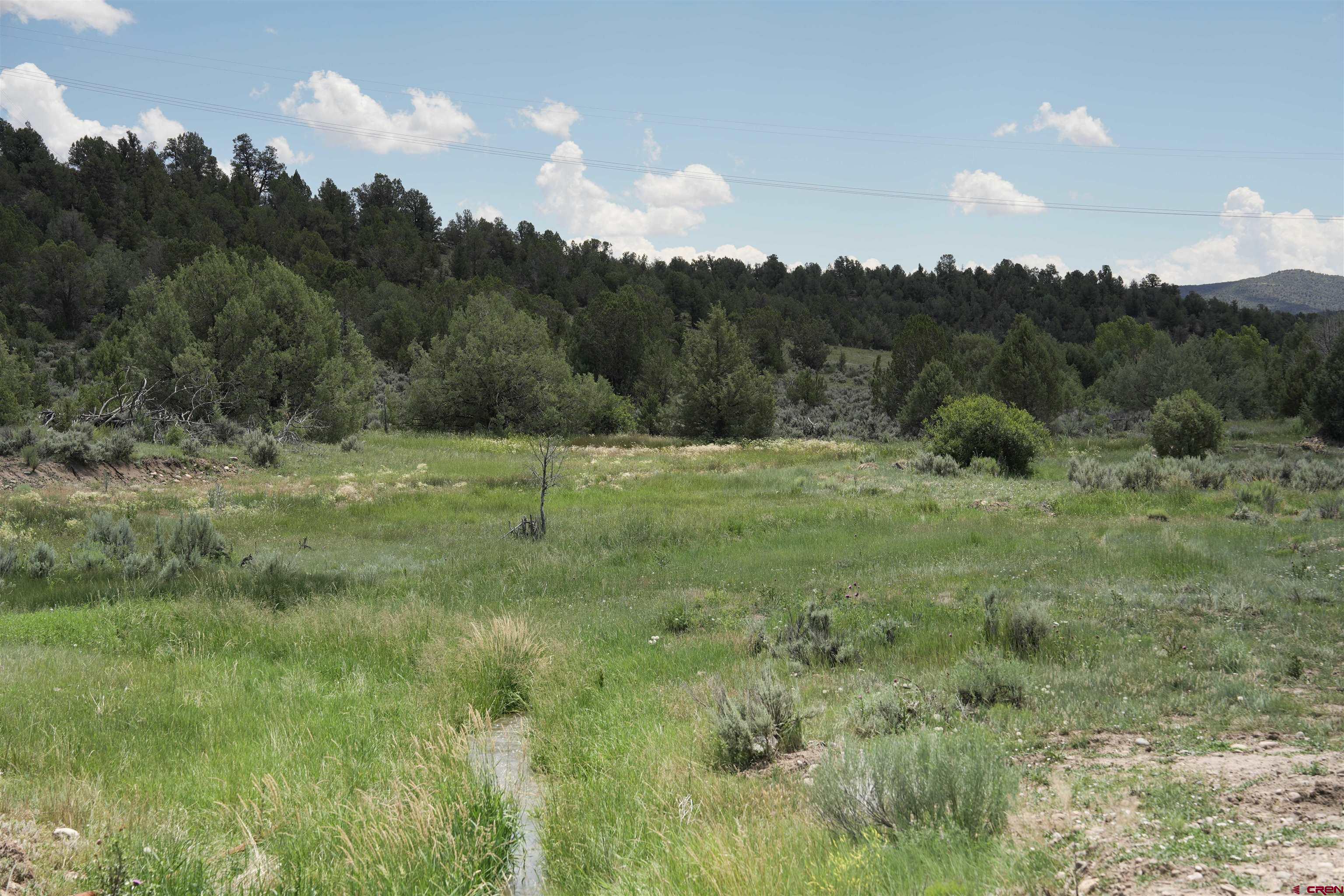 440 Oasis Vly Road Durango, CO 81303 - Photo 34 of 34 Gallery Image 34