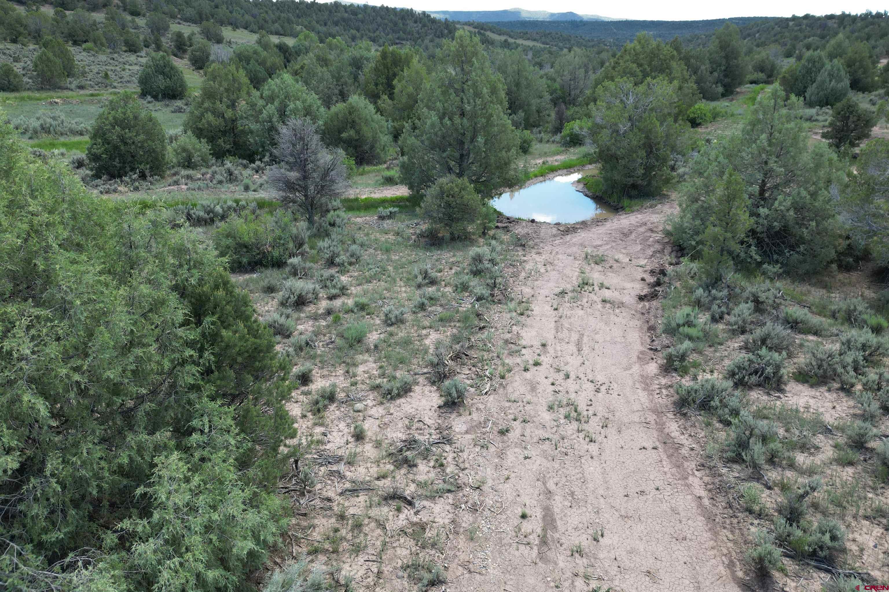 440 Oasis Vly Road Durango, CO 81303 - Photo 8 of 34 Gallery Image 8