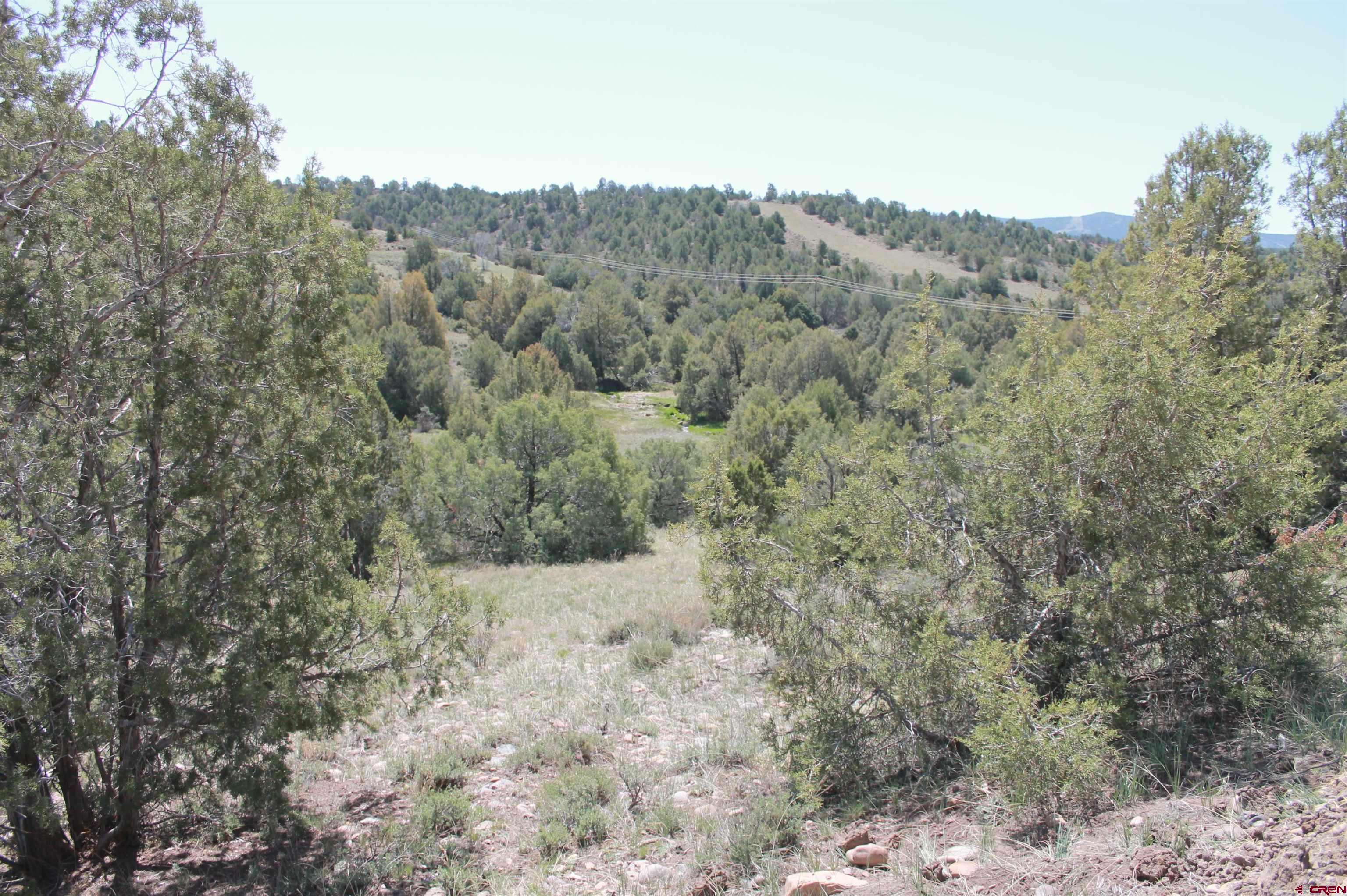 440 Oasis Vly Road Durango, CO 81303 - Photo 9 of 34 Gallery Image 9