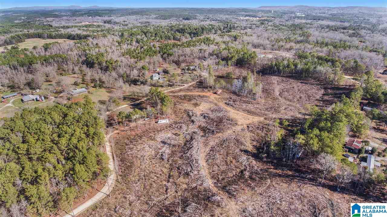 568 Yorkshire Road Columbiana, AL 35051 - Photo 5 of 7