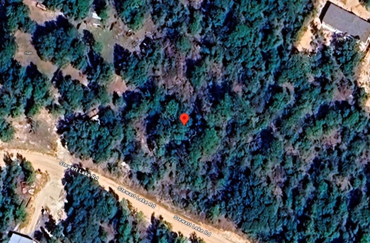 Lot C27 Stewart Lake Road Chipley, FL 32428 - Photo 4 of 11 a view of tree