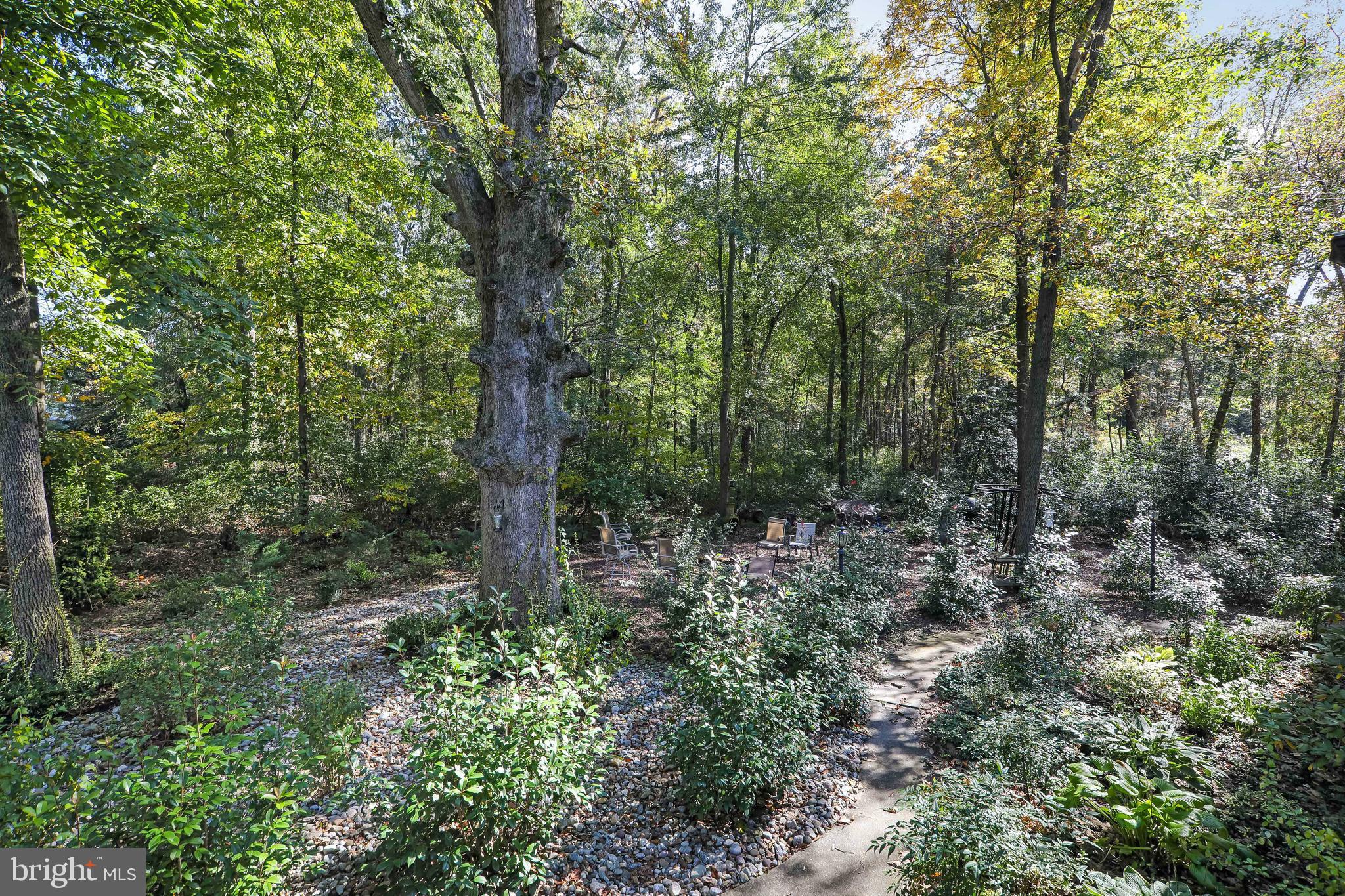 2425 Fostertown Road Hainesport, NJ 08036 - Photo 50 of 54