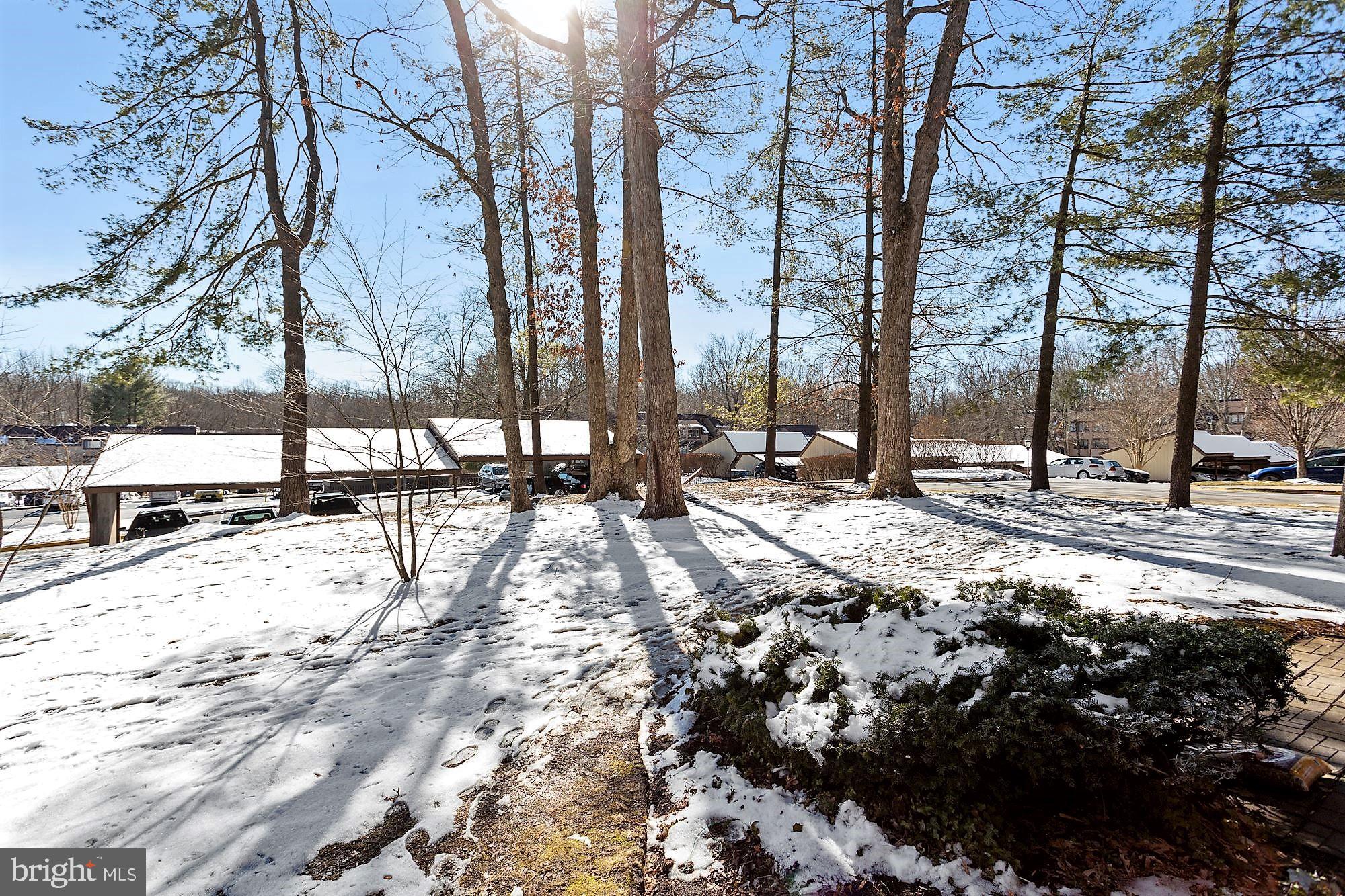 1645 Parkcrest Circle, Unit 100 Reston, VA 20190 - Photo 18 of 24 Beautiful mature treed view
