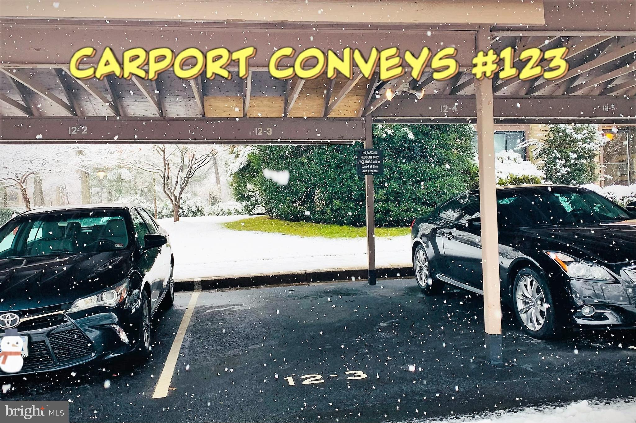 1645 Parkcrest Circle, Unit 100 Reston, VA 20190 - Photo 19 of 24 Carport Conveys #123