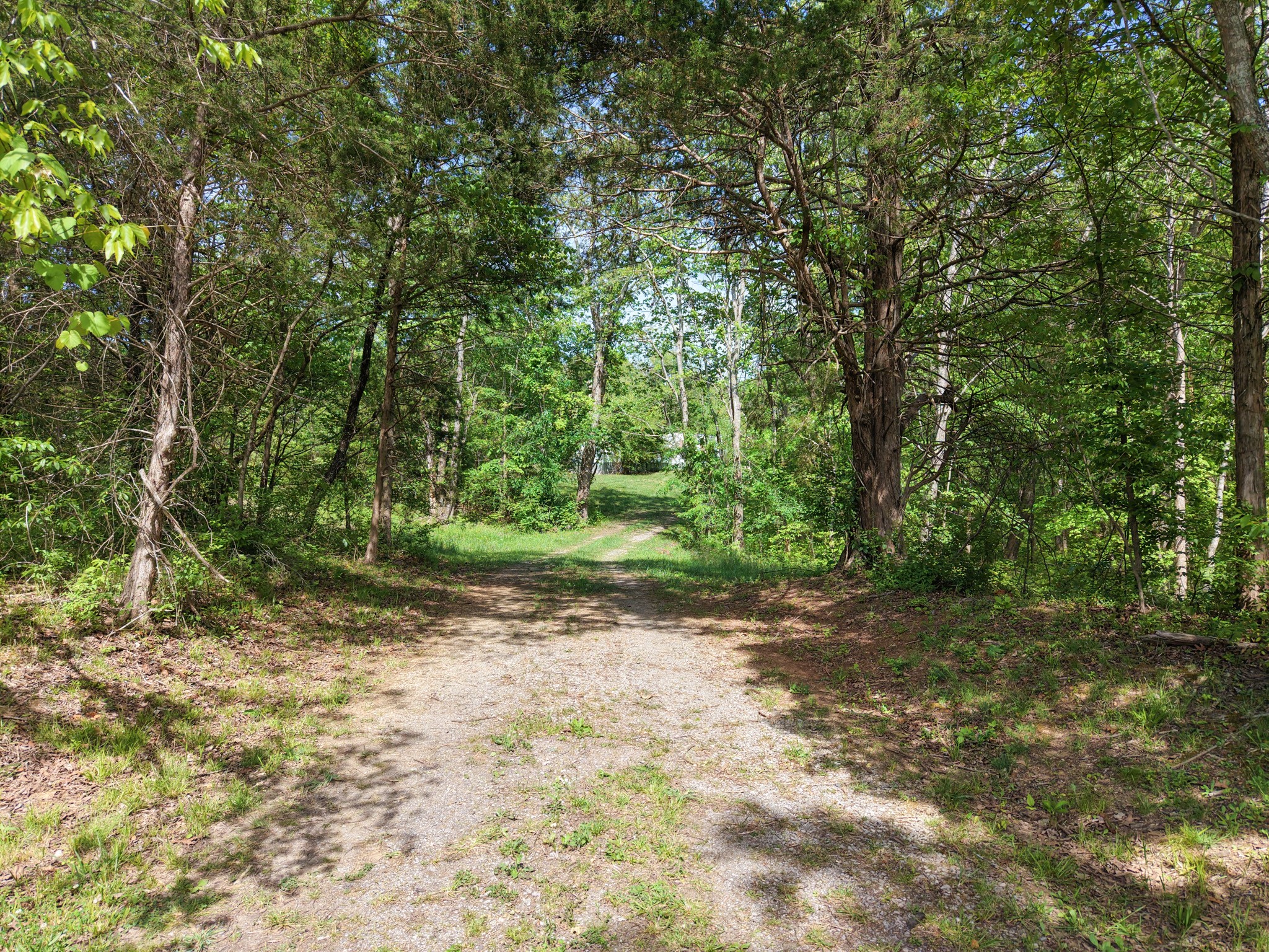 7194 Dice Lampley Road Fairview, TN 37062 - Photo 25 of 35 Gallery Image 25
