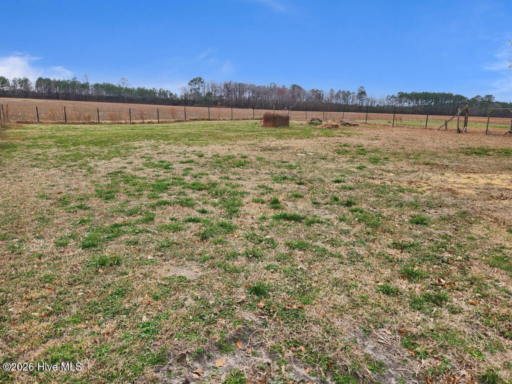 1780 Dan Peele Road Williamston, NC 27892 - Photo 5 of 23 5 BACKYARD