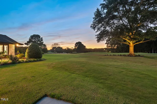 a view of a green field with an ocean