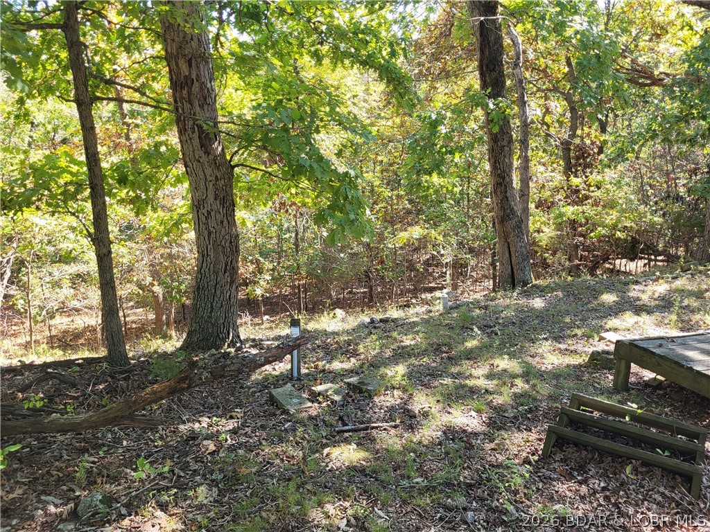 32534 Compromise Road Gravois Mills, MO 65037 - Photo 12 of 12