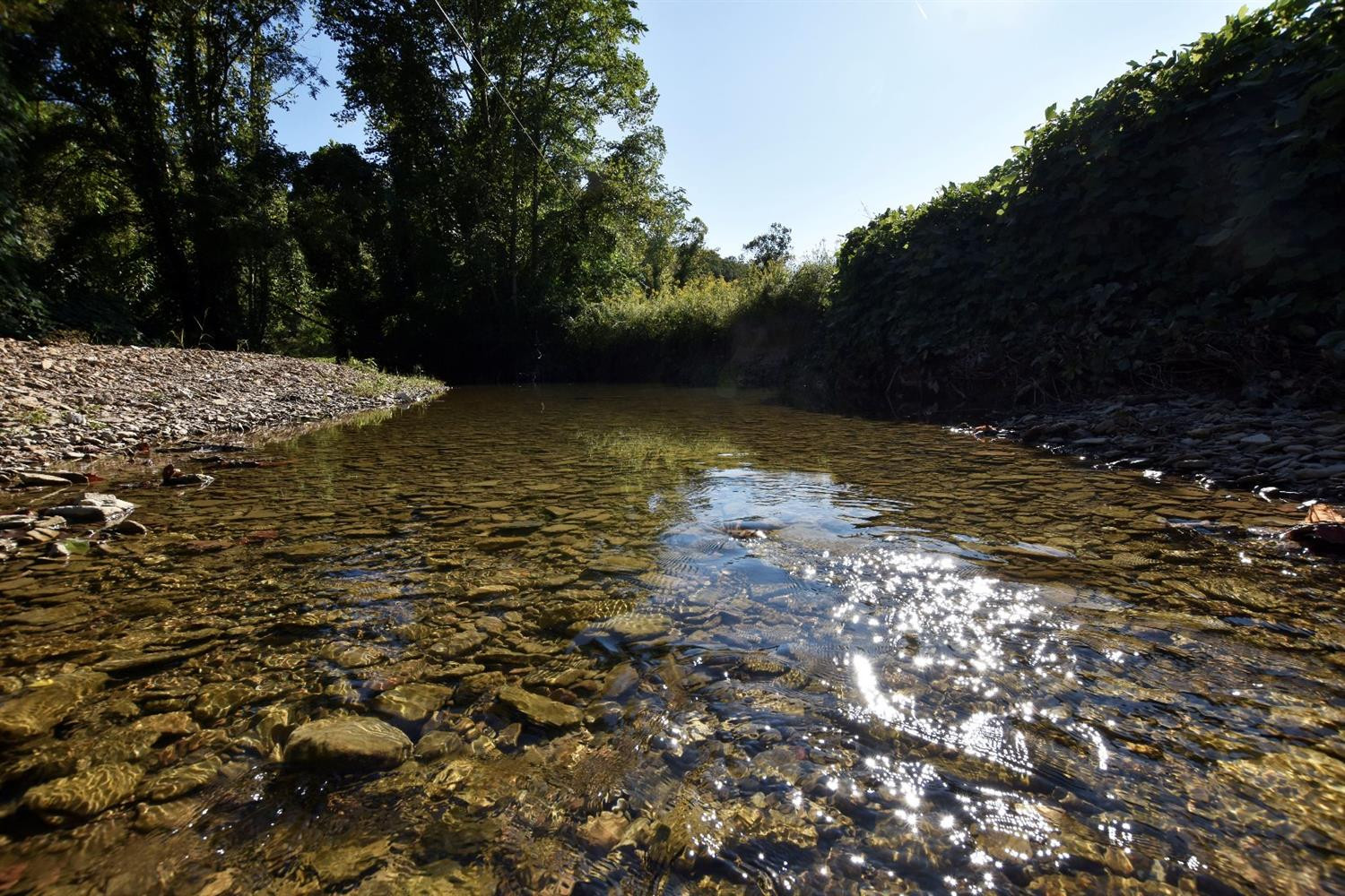 250 Middle Fork Road Irvine, KY 40336 - Photo 5 of 31 Come discover the treasures this creek h