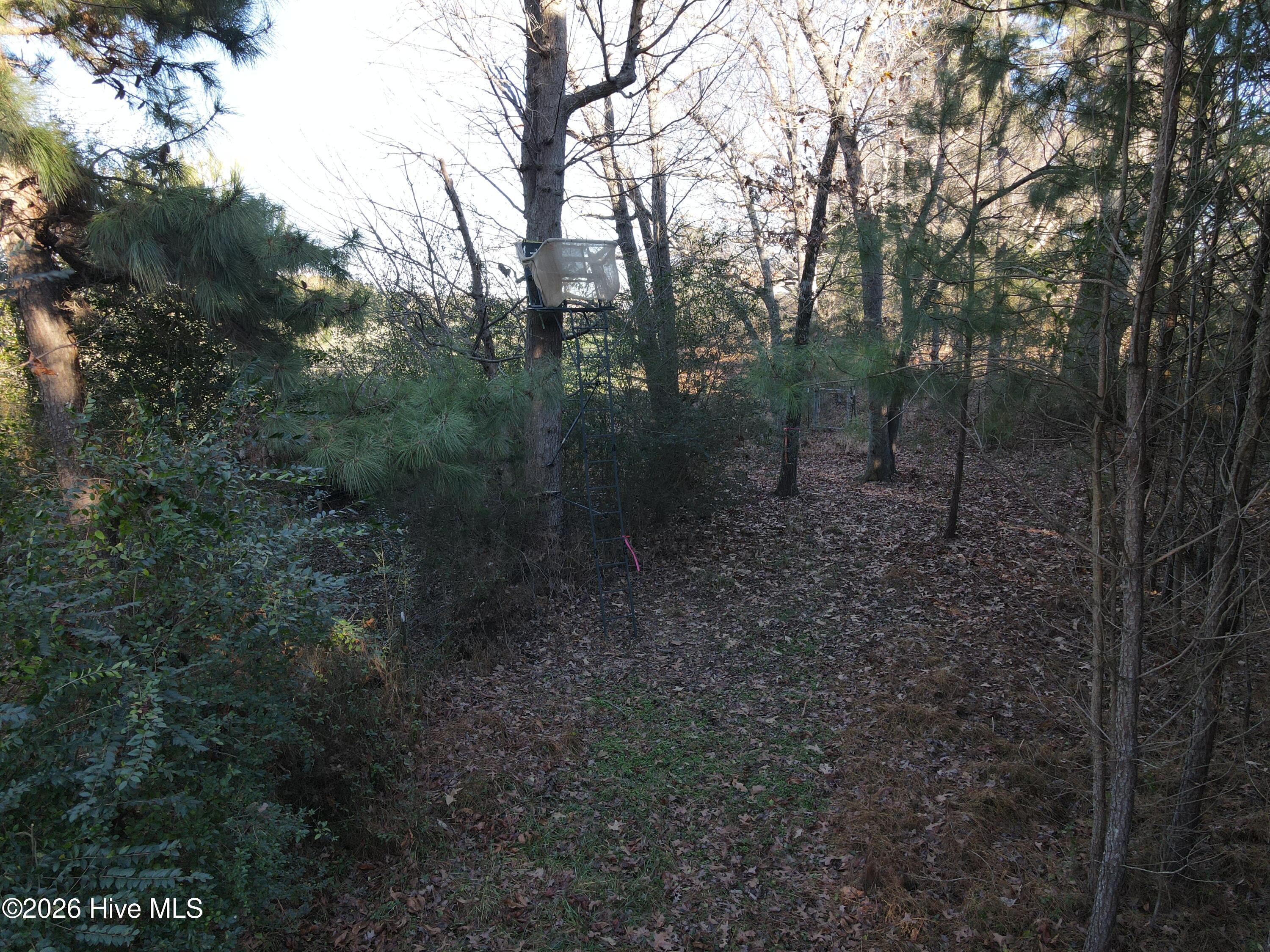 0 Sykes Road Nashville, NC 27856 - Photo 36 of 69 SR MLS 36