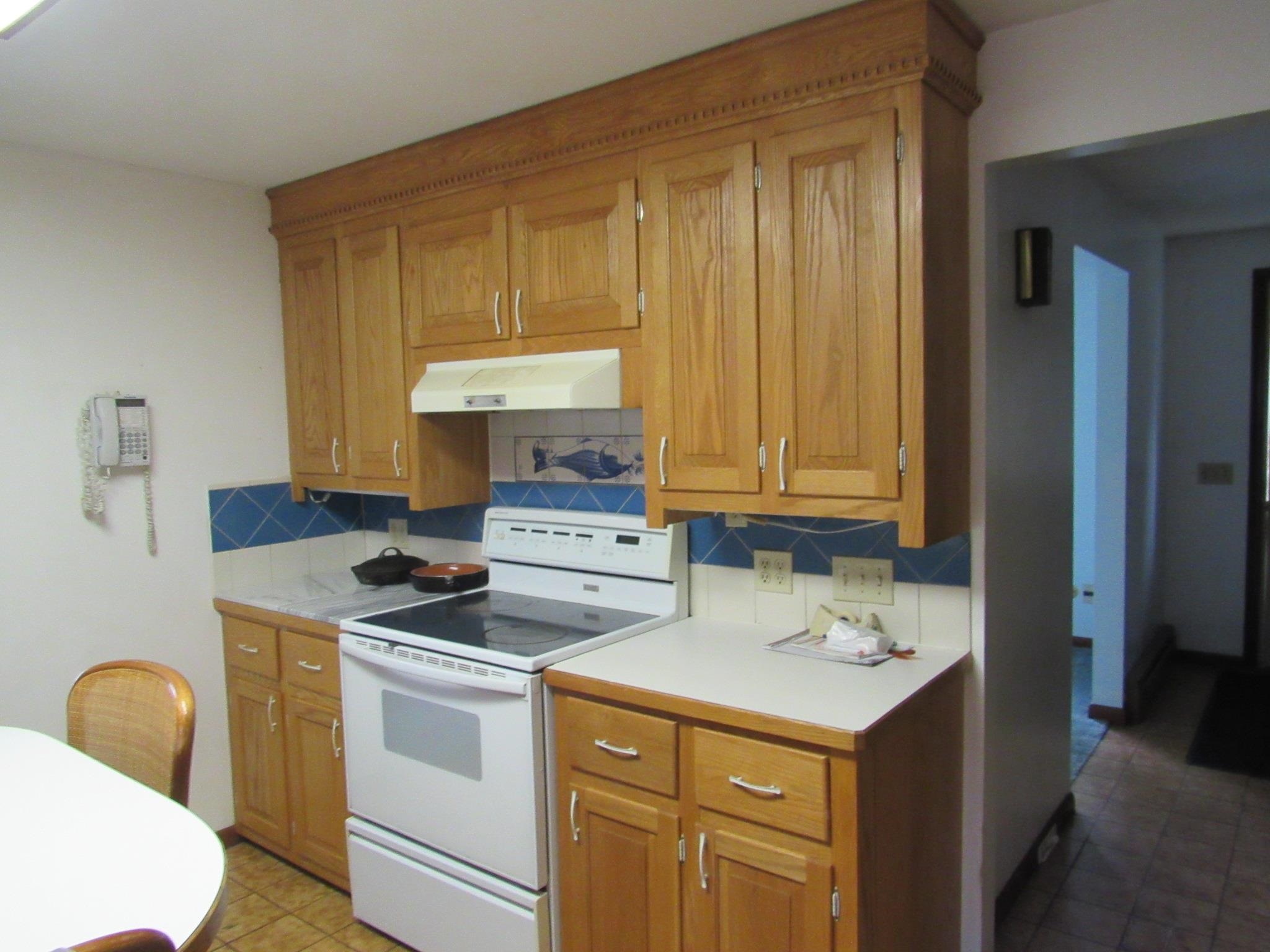 3 Sycamore Avenue Salem, NH 03079 - Photo 5 of 37