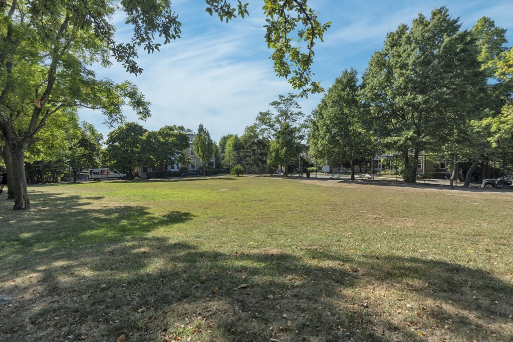 89 Winthrop Road, Unit 3 Brookline, MA 02445 - Photo 36 of 40