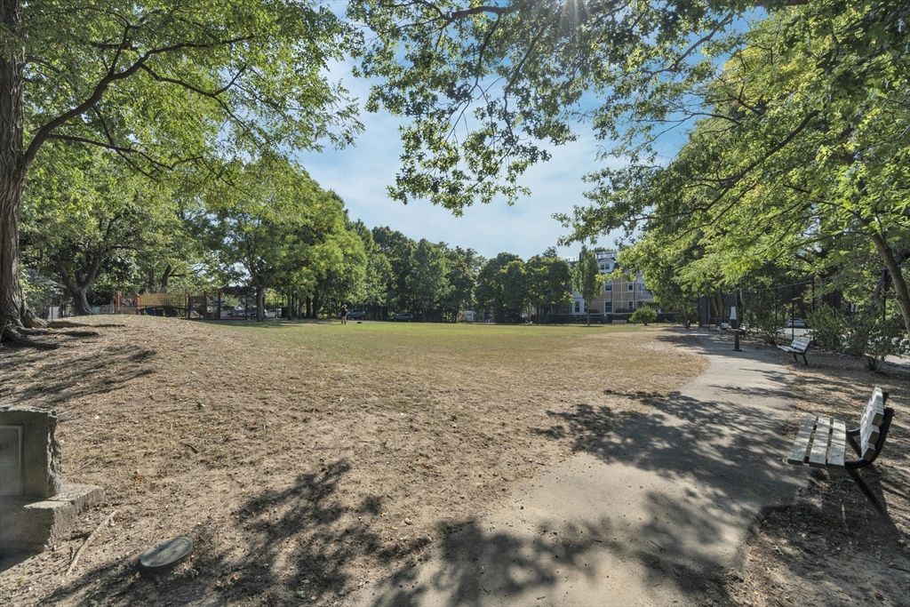 89 Winthrop Road, Unit 3 Brookline, MA 02445 - Photo 37 of 40