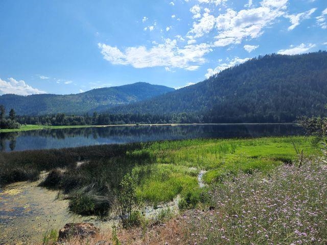 3385 Deep Lake Boundary Road Colville, WA 99114 - Photo 3 of 18 Gallery Image 3