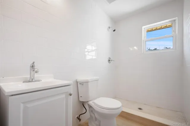 a bathroom with a sink mirror vanity and toilet