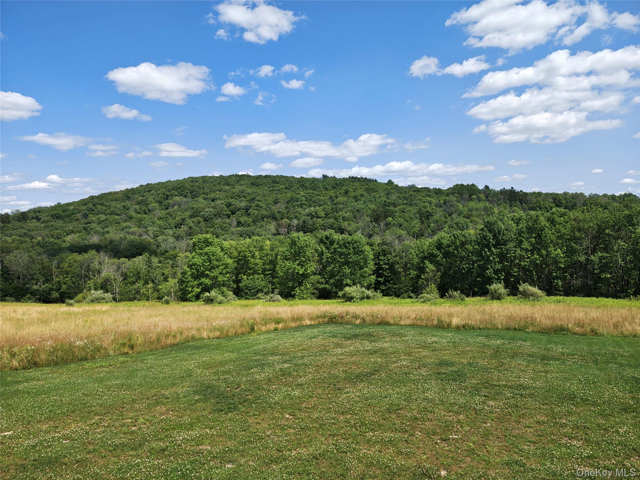 129 Nelson Road Hankins, NY 12741 - Photo 2 of 46 From the back deck