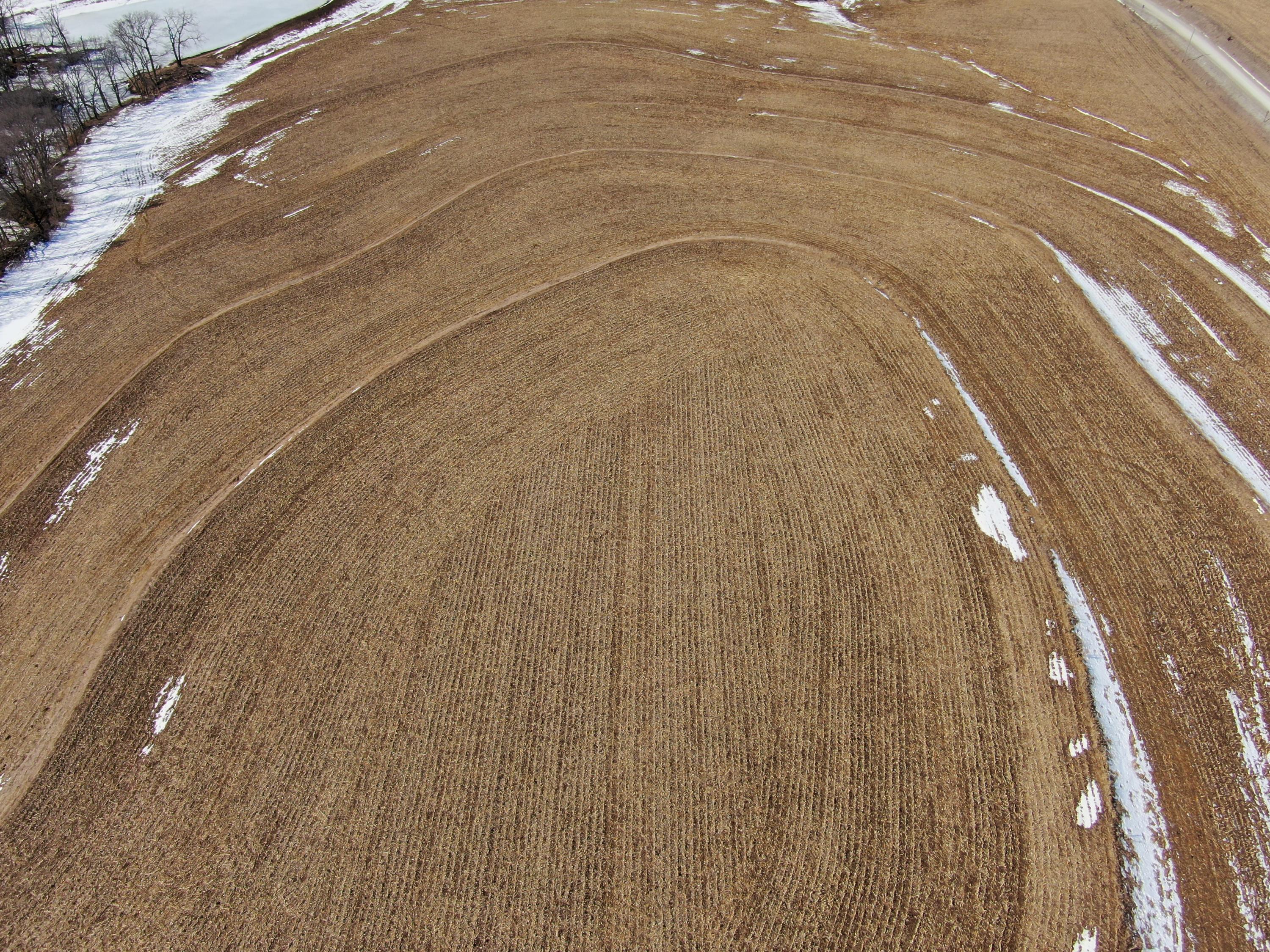 100 Ac M/l Hackberry Road McClelland, IA 51548 - Photo 5 of 16 Gallery Image 5