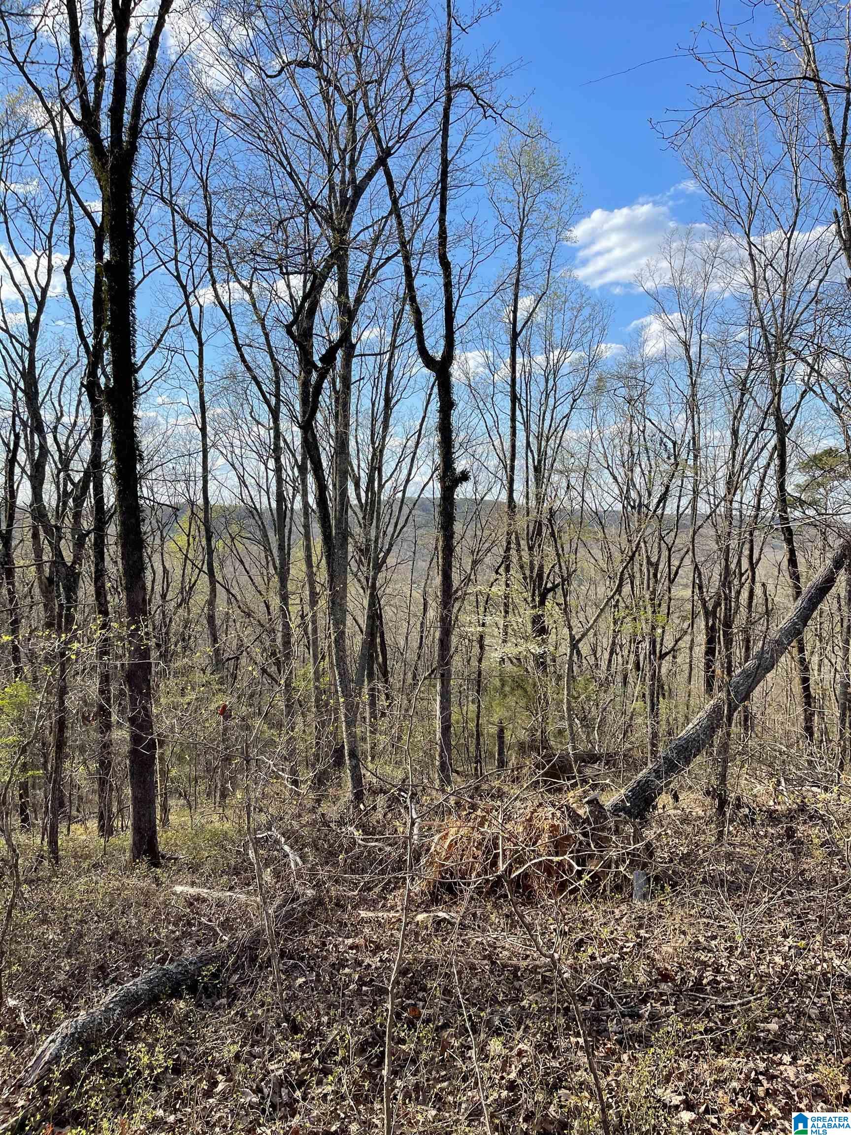 Lot 1 Statum Farm Road, Unit 1 Columbiana, AL 35051 - Photo 1 of 12