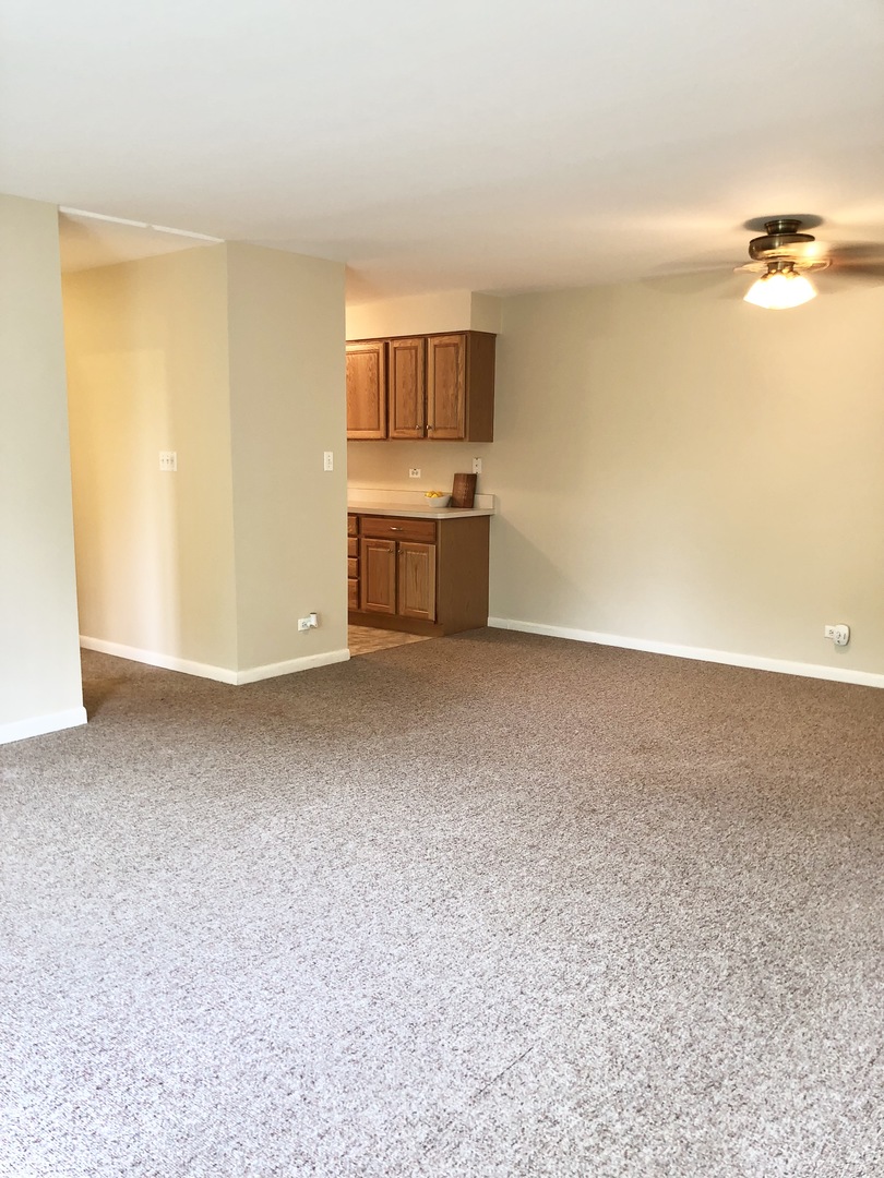 84 West Belvidere Road, Unit 301 Grayslake, IL 60030 - Photo 6 of 20
