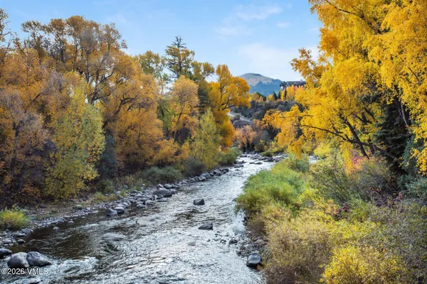 a view of a bunch of trees and houses