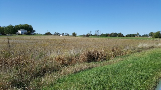 19 Twp 33n R 12e Peotone, IL 60468 - Photo 2 of 3 a view of a lake view with a lake