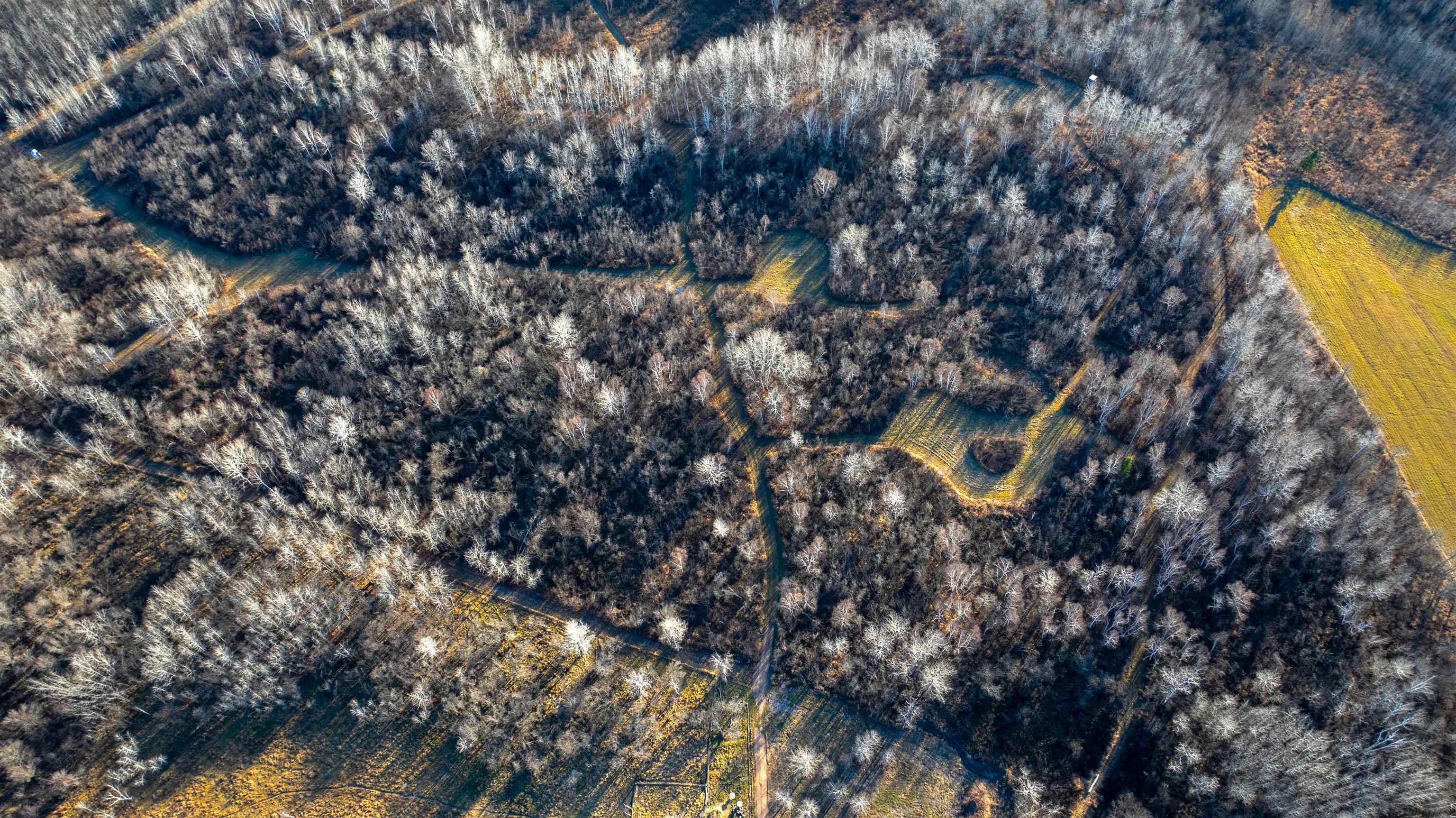 6014 Brown Road Kettle River, MN 55757 - Photo 42 of 54 Drone / aerial view