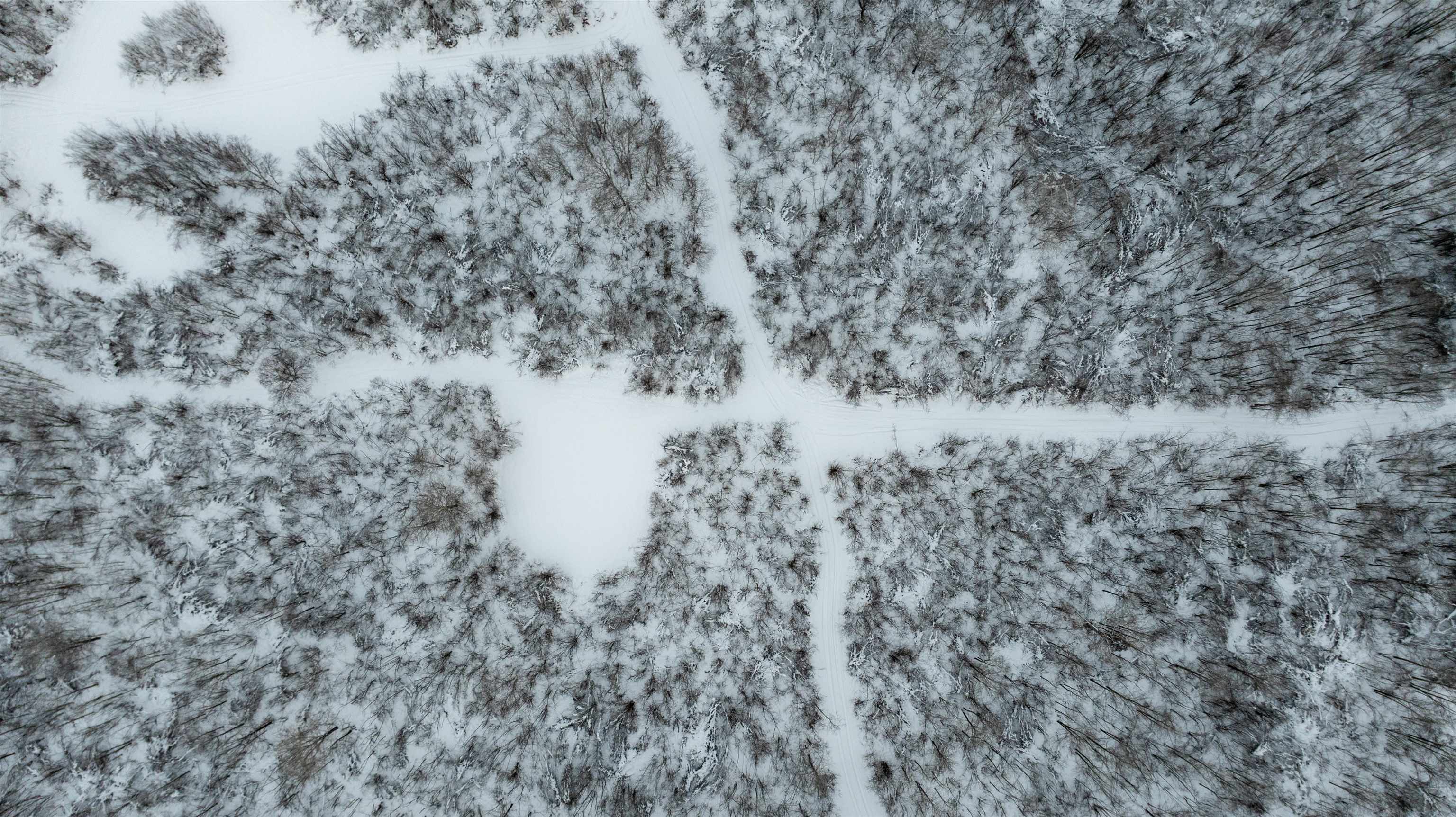 6014 Brown Road Kettle River, MN 55757 - Photo 52 of 54 Snow covered structure featuring an outbuilding