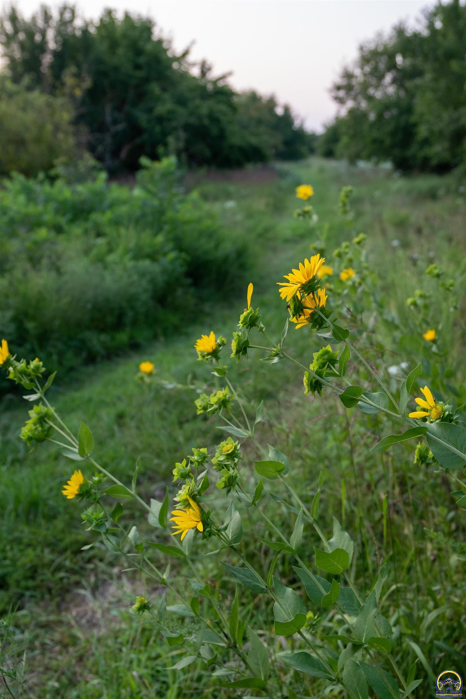 11301 South Croco Road Berryton, KS 66409 - Photo 87 of 99 Gallery Image 87