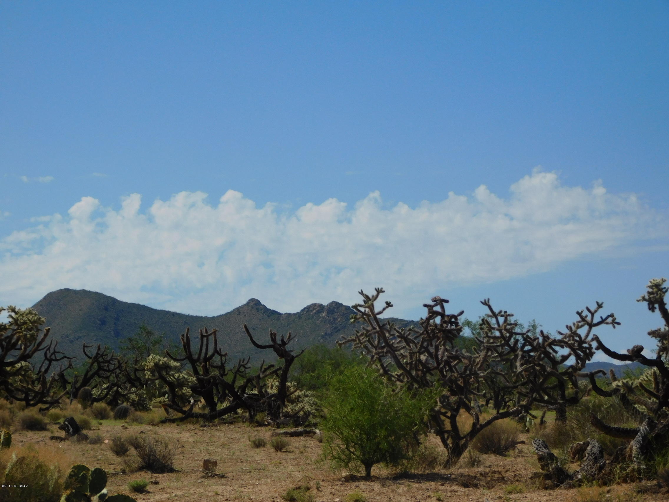 13550 Moeur Road, Unit 252/4 Tucson, AZ 85736 - Photo 7 of 9