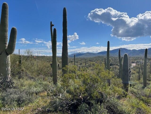 0 Jeffords Mine Road Marana, AZ 85658 - Photo 9 of 11