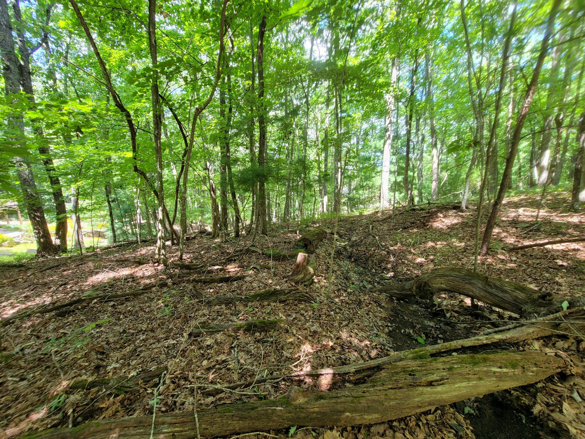 23 Harley Circle Crossville, TN 38558 - Photo 3 of 16