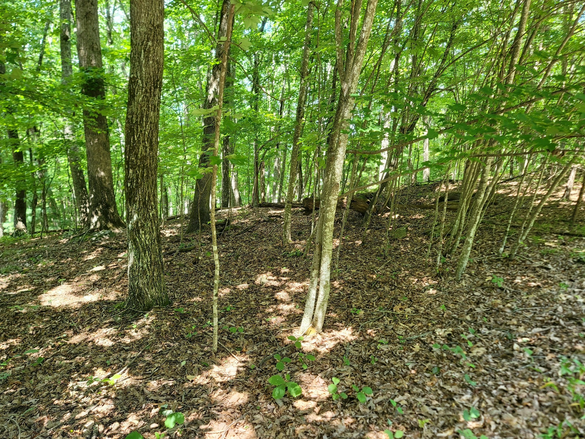 23 Harley Circle Crossville, TN 38558 - Photo 8 of 16