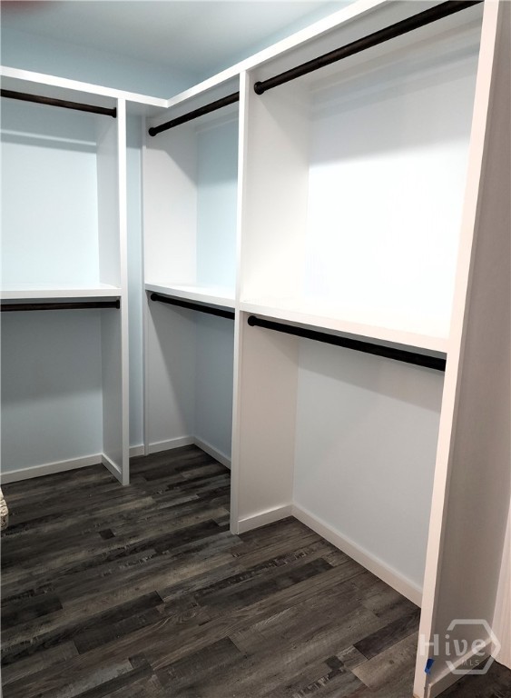 8708 Clark Avenue Savannah, GA 31406 - Photo 7 of 16 Master Closet built ins