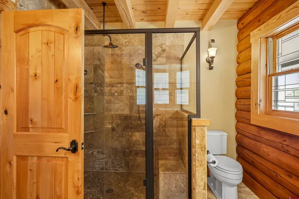 a bathroom with a shower and a toilet