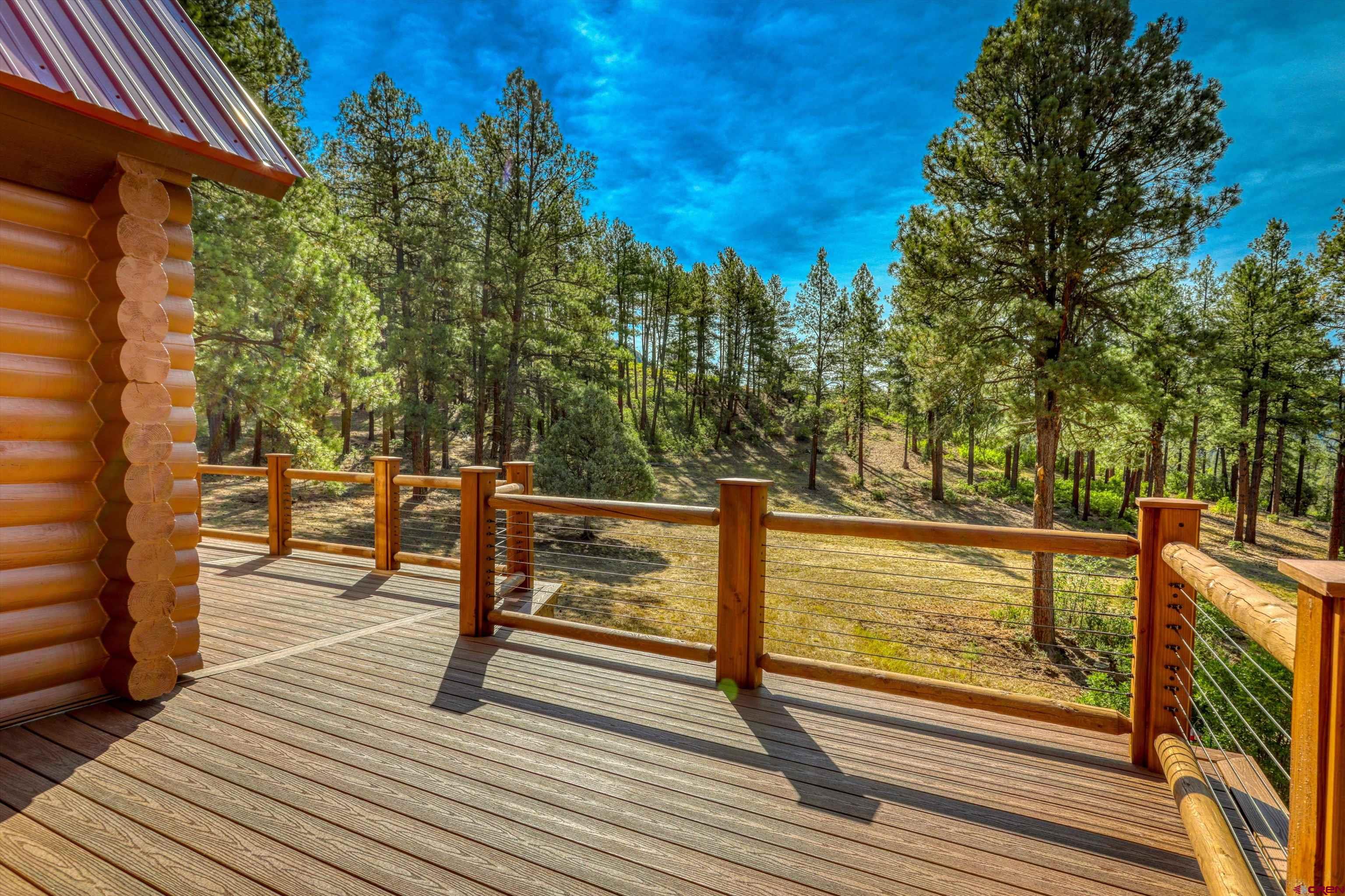 704 Two Bear Road Pagosa Springs, CO 81147 - Photo 31 of 41