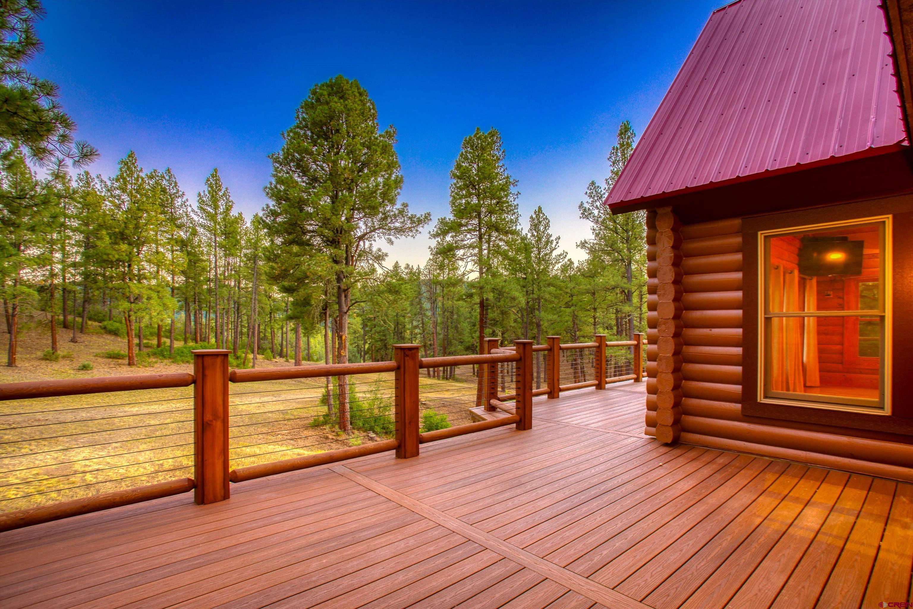 704 Two Bear Road Pagosa Springs, CO 81147 - Photo 35 of 41