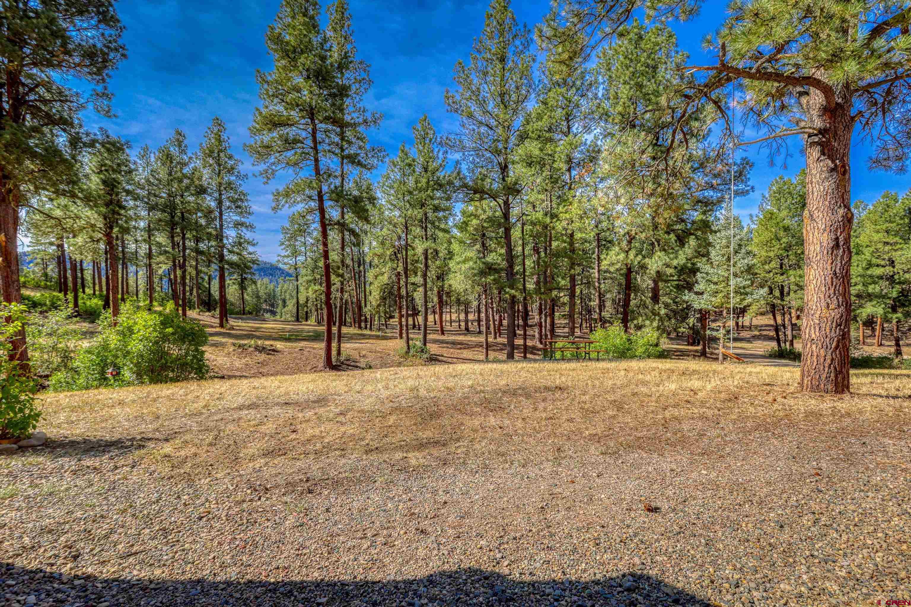 704 Two Bear Road Pagosa Springs, CO 81147 - Photo 36 of 41