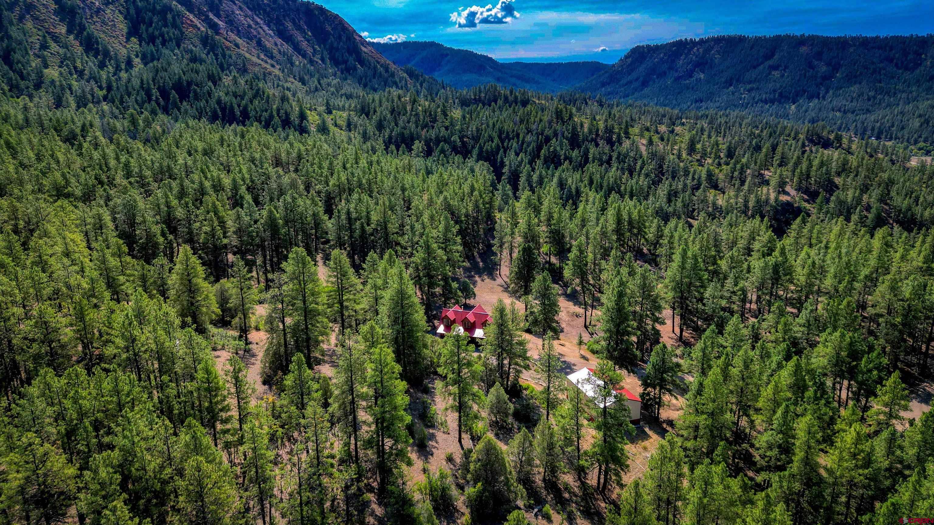 704 Two Bear Road Pagosa Springs, CO 81147 - Photo 37 of 41