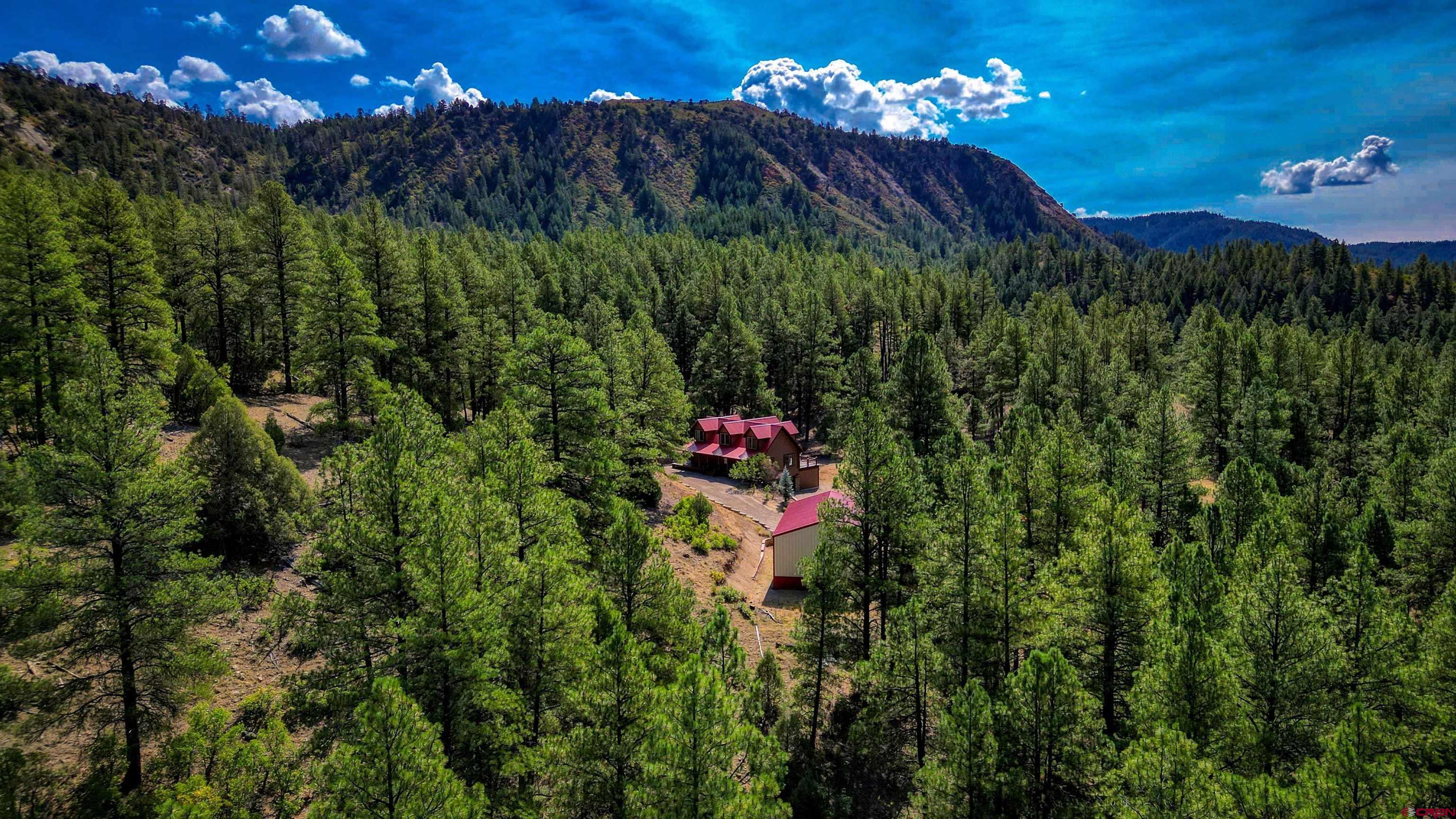 704 Two Bear Road Pagosa Springs, CO 81147 - Photo 38 of 41