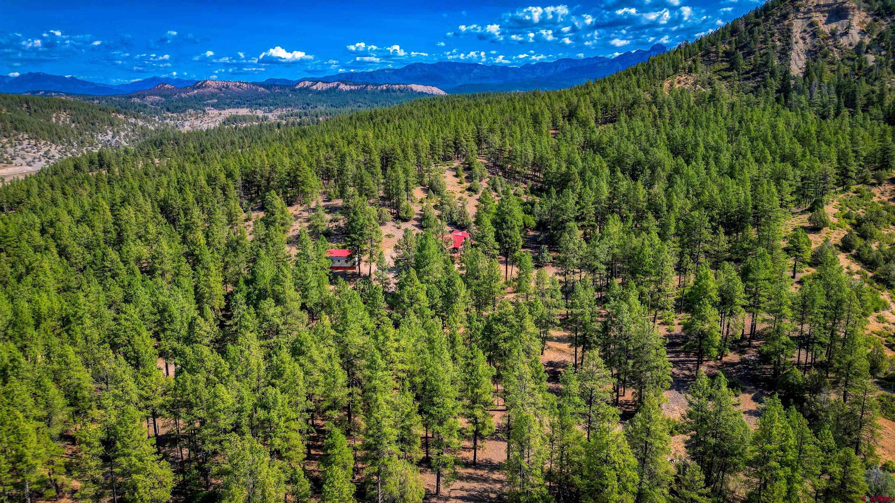 704 Two Bear Road Pagosa Springs, CO 81147 - Photo 39 of 41